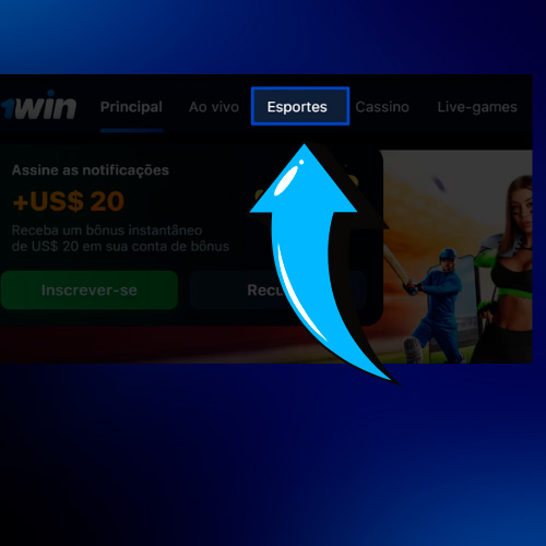 Escolha um esporte em 1win